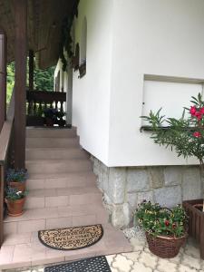 a stairway leading to a house with flowers and plants at Pension Iva in Jeseník