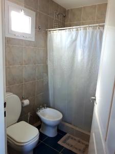 a bathroom with a toilet and a sink and a shower at Alem in Puerto Madryn