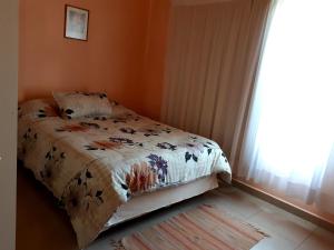 a bedroom with a bed with a comforter and a window at Alem in Puerto Madryn