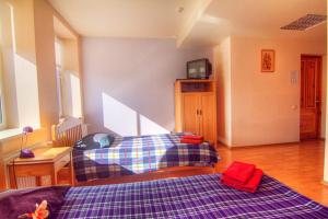 Postel nebo postele na pokoji v ubytování Hotel Luiize
