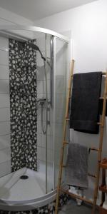 prysznic ze szklanymi drzwiami obok krzesła w obiekcie LE GARDEN CENTRAL STUDIO w mieście Dinan