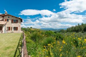 an old house on a hill with a field of flowers at Agriturismo Molino Verde in Montecchio
