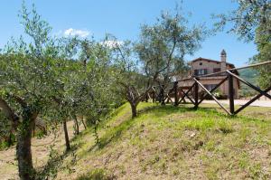 Fotografie z fotogalerie ubytování Agriturismo Molino Verde v destinaci Montecchio