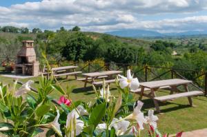 Fotografie z fotogalerie ubytování Agriturismo Molino Verde v destinaci Montecchio