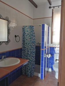 ein Bad mit einer Badewanne, einem Waschbecken und einer Dusche in der Unterkunft La Solana de turón. La coscoja. in Ardales