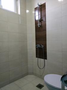 uma casa de banho com um chuveiro, um WC e uma janela. em Apartmani Spasic em Leskovac