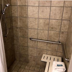 ein Bad mit einer Duschkabine und einem WC in der Unterkunft Holiday Inn Express Hotel & Suites Decatur, TX, an IHG Hotel in Decatur