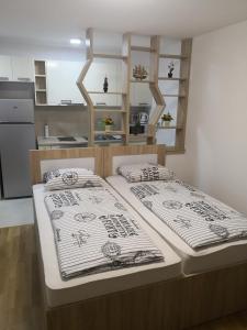 Kuchyň nebo kuchyňský kout v ubytování Studio apartment Noa