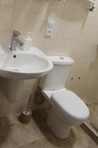 カズベギにあるRustaveli st11のギャラリーの写真