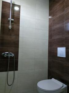 Ванна кімната в Apartmani Spasic