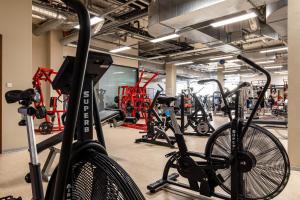 Fitness centrum a/nebo fitness zařízení v ubytování Rezidence Fontána