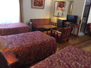 TV a/nebo společenská místnost v ubytování Hotel Midori