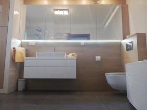 Kúpeľňa v ubytovaní Gdynia Orlowo Honey Apartment + 32 fotografií