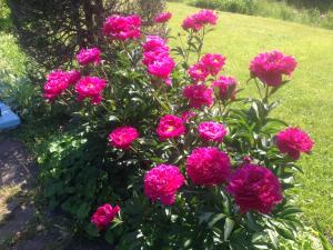 Gallery image of Chamcook Forest Lodge Bed & Breakfast in Saint Andrews