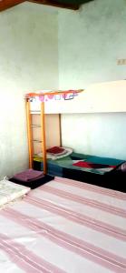 um quarto com 2 beliches num quarto em TJ Guest House em Makhinjauri
