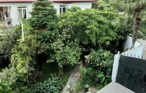 a garden with bushes and trees and a house at TJ Guest House in Makhinjauri