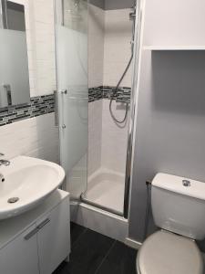 La salle de bains est pourvue d'une douche, de toilettes et d'un lavabo. dans l'établissement charmant Studio à Ploemeur centre--5min des plages, à Ploemeur