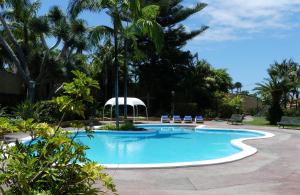 a swimming pool with chairs and palm trees at Finca San Antonio in Los Realejos