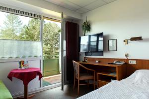 Μια τηλεόραση ή/και κέντρο ψυχαγωγίας στο Hotel Schleifmühle