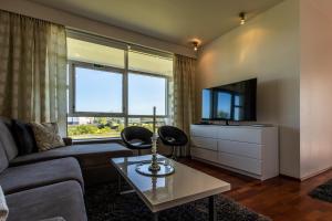 a living room with a couch and a tv at River Apartments in Selfoss