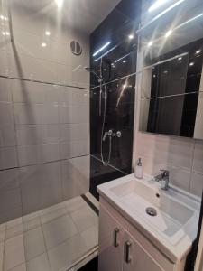 a bathroom with a sink and a shower at Liliom Apartman Pécs in Pécs