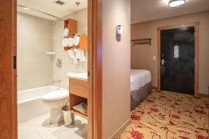 a bathroom with a toilet, sink, and shower at Banff Ptarmigan Inn in Banff