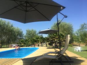 Der Swimmingpool an oder in der Nähe von Cabañas de Campo Colbún