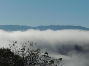 a view of a foggy valley with trees and clouds at Refúgio Horse in Santo Antônio do Pinhal