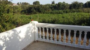 Φωτογραφία από το άλμπουμ του NATALIA στο Ληξούρι