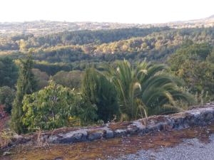 Fotografia z galérie ubytovania Casiña Rústica proximidades Ribeira Sacra v destinácii Ourense