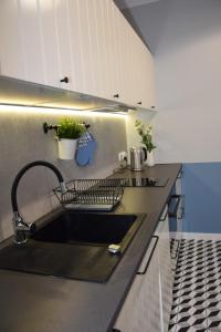 a kitchen with a sink and a counter top at VerrAri Apartaments in Łeba