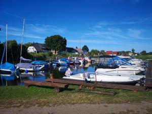 a bunch of boats are docked in a harbor at Fewo Seerose in Zempin
