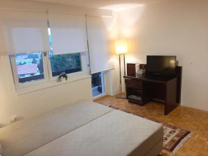 a living room with a bed and a television at Guesthouse Hill in Sarajevo