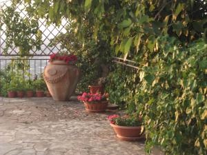 Zahrada ubytování Albergo Villa Nobile