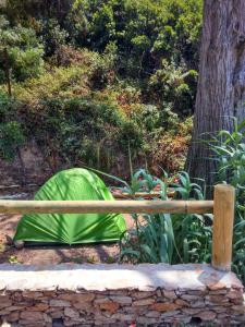 Zahrada ubytování Les Bambous, camping naturiste