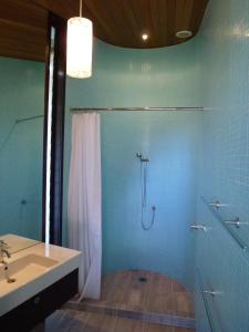 a blue bathroom with a shower and a sink at Hot Water Beach Bure Wai in Hotwater Beach