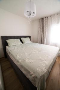 Fotografie z fotogalerie ubytování Villa Domjanovic Apartments v destinaci Solin