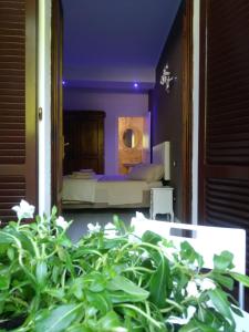 una camera con un letto e una pianta verde di Il glicine a Siena