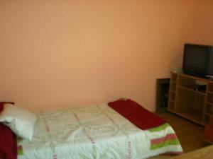 1 dormitorio con 1 cama y TV de pantalla plana en La Gran Casona de Olmue, en Olmué