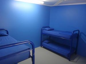 a blue room with two bunk beds in it at Cable Beach Backpackers in Broome