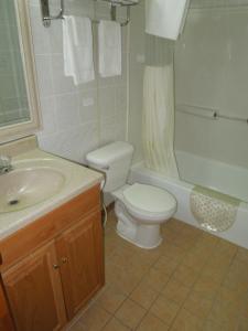 a bathroom with a toilet and a sink and a shower at Red Carpet Inn Ronks in Ronks