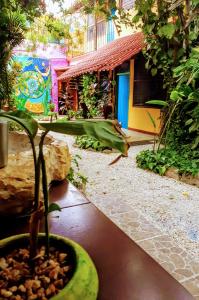 a garden area with plants and trees at Hostel Candelaria in Valladolid