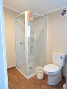 a bathroom with a shower and a toilet at Turangi Bridge Motel in Turangi