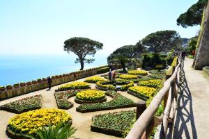 a garden with yellow and green plants and flowers at Il Centro Storico Ravello in Ravello