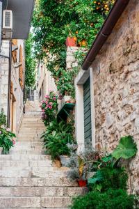 Η γειτονιά γύρω από ή μία γειτονιά κοντά σε αυτό το bed & breakfast