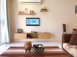 TV a/nebo společenská místnost v ubytování PICO DE LORO RESORT CONDOTEL