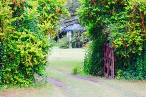 埃斯基纳Posada Morotí的灌木丛中间的红色门