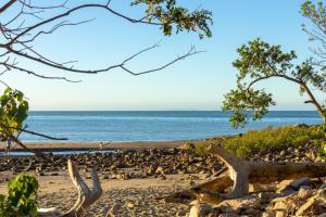 a bird sitting on top of a beach next to the ocean at Halliday Bay Resort in Seaforth