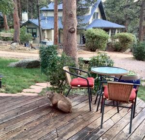 a koala sitting on a deck with two chairs and a table at Romantic RiverSong Inn in Estes Park