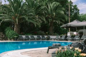 a swimming pool with chairs and palm trees at Hotel Z Palace & Congress Center in Xanthi